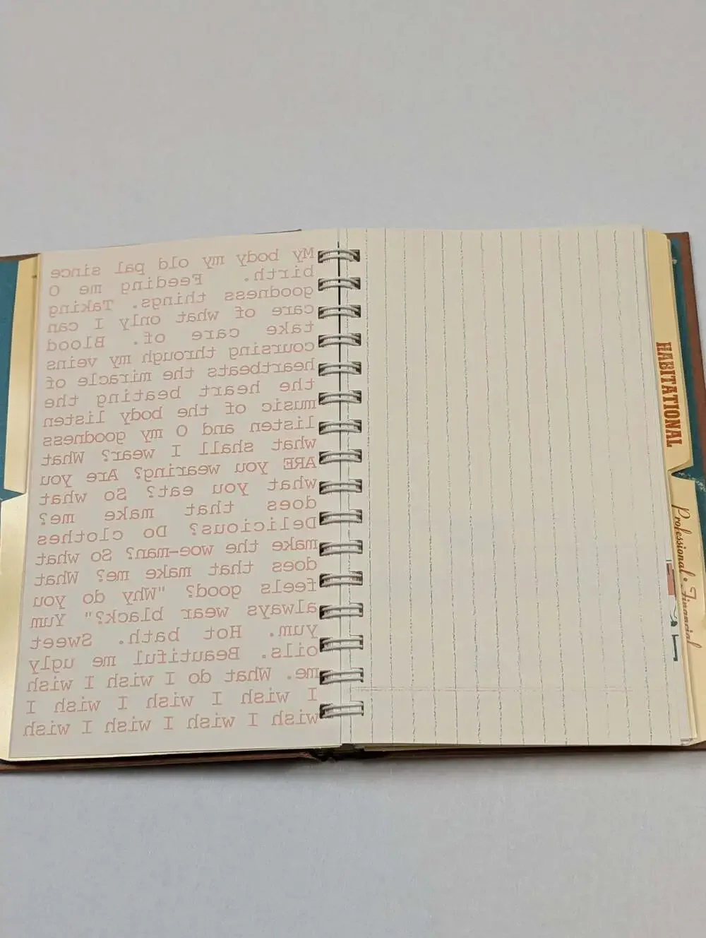 A Wish Book by Stacie Chaiken and Alexis Genya Spiral-Bound Journal